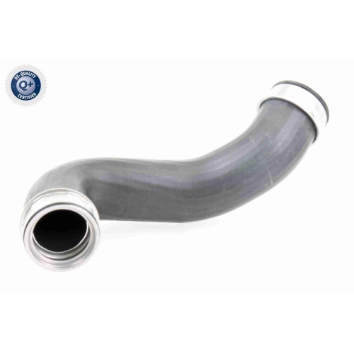 VAICO Ladeluftschlauch Q+, Erstausrüsterqualität V30-2648