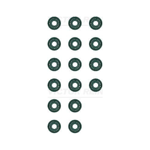 VICTOR REINZ Dichtungssatz, Ventilschaft