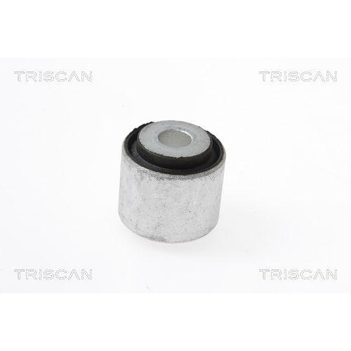TRISCAN Lagerung, Lenker 8500 23857