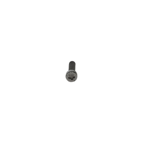 BOSCH Schraube F 00N 202 190