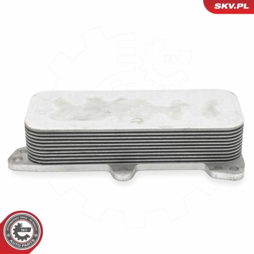ESEN SKV &Ouml;lk&uuml;hler, Motor&ouml;l 31SKV272