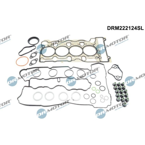 Dr.Motor Automotive Dichtungssatz, Zylinderkopf DRM222124SL