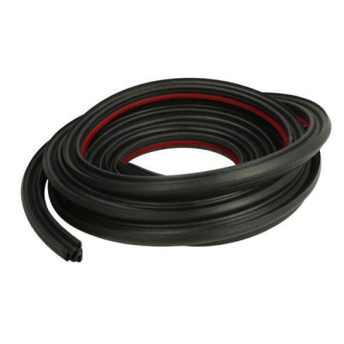 BLIC Türdichtung 5703-04-9562501P