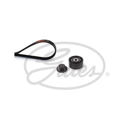 GATES Keilrippenriemensatz Micro-V&reg; K016PK848SF
