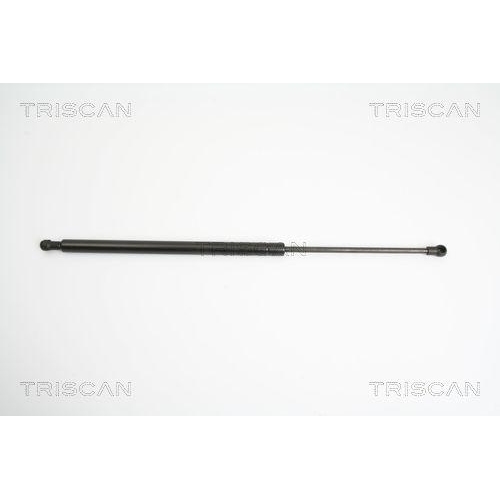 TRISCAN Gasfeder, Koffer-/Laderaum 8710 14244