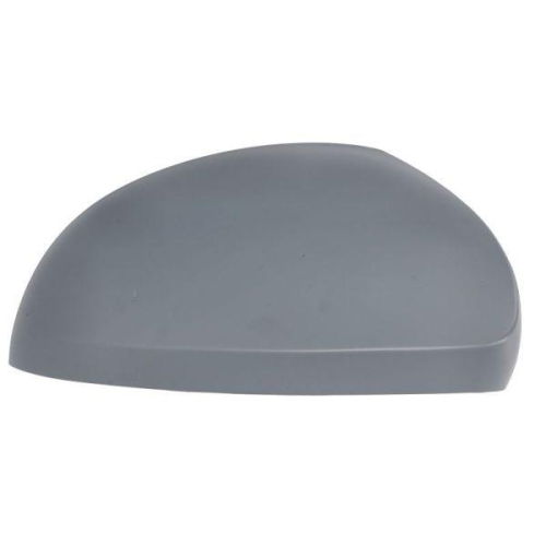 BLIC Gehäuse, Außenspiegel 6103-10-2002266P