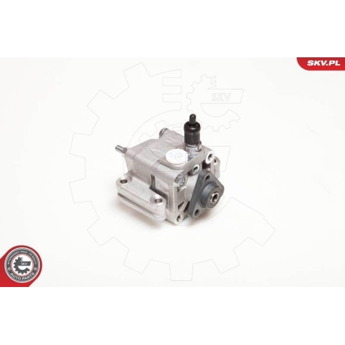 ESEN SKV Hydraulikpumpe, Lenkung 10SKV109