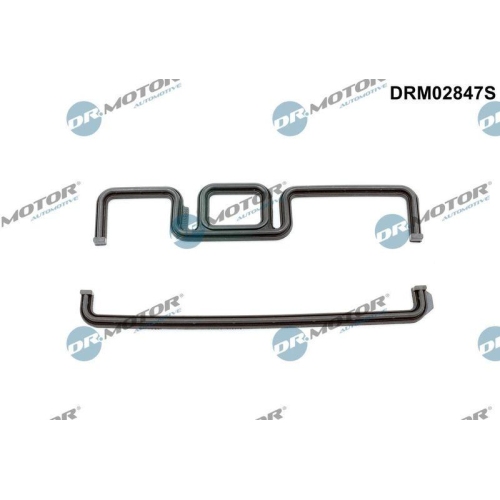 Dr.Motor Automotive Dichtung, Steuergeh&auml;use DRM02847S