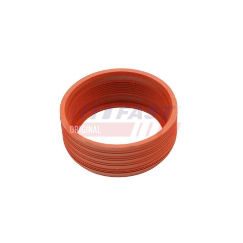 FAST Dichtring, Ansaugschlauch (Luftfiltergeh&auml;use) FT48948