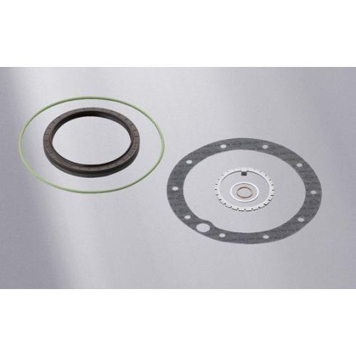 ELRING Dichtungssatz, Au&szlig;enplanetengetriebe 074.680