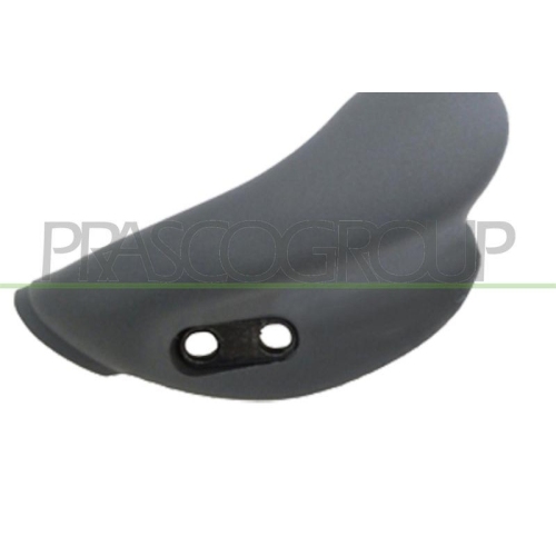 PRASCO T&uuml;rgriff, Innenausstattung FT9208408