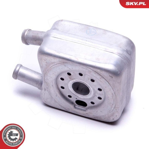 ESEN SKV &Ouml;lk&uuml;hler, Motor&ouml;l 31SKV202