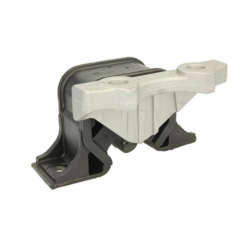 REINHOCH Lagerung, Motor RH11-5061