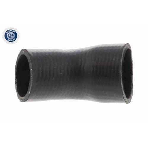 VAICO Kühlerschlauch Q+, Erstausrüsterqualität V20-1258