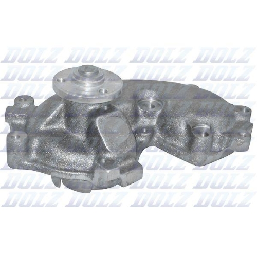 DOLZ Wasserpumpe, Motork&uuml;hlung