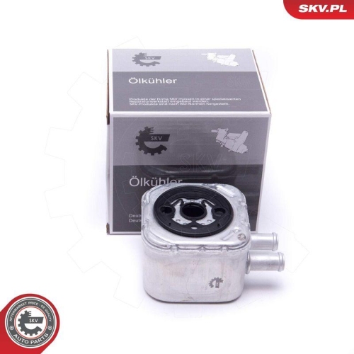 ESEN SKV &Ouml;lk&uuml;hler, Motor&ouml;l 31SKV205