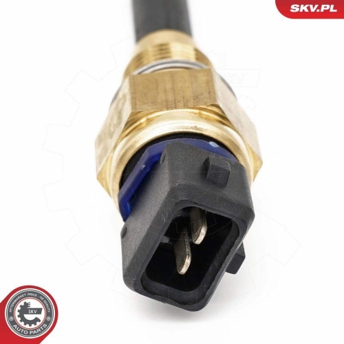 ESEN SKV Sensor, Motor&ouml;lstand 17SKV939