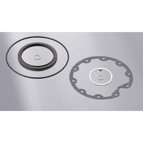 ELRING Dichtungssatz, Au&szlig;enplanetengetriebe 074.700