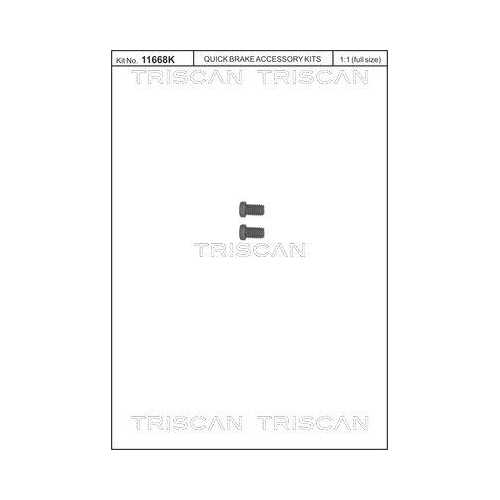 TRISCAN Schraubensatz, Bremsscheibe 8105 116009