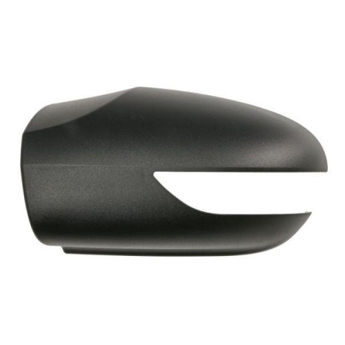 BLIC Gehäuse, Außenspiegel 6103-01-1391557P