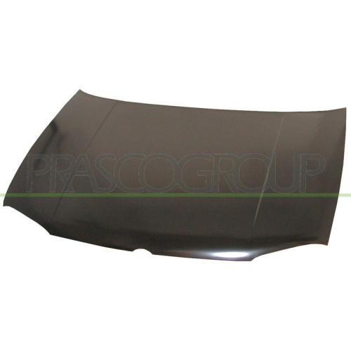 PRASCO Motorhaube VG0343130