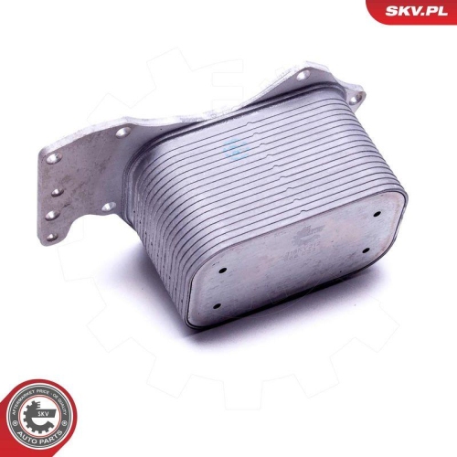ESEN SKV &Ouml;lk&uuml;hler, Motor&ouml;l 31SKV212