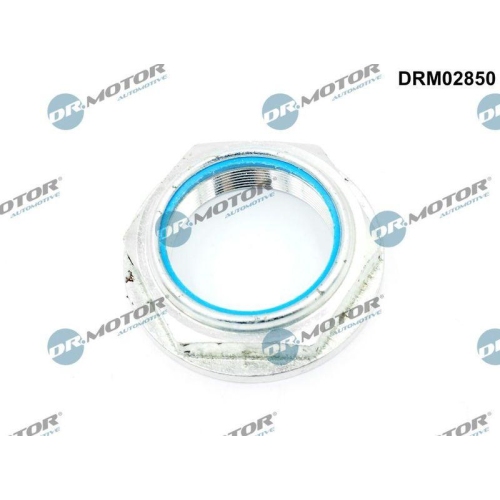 Dr.Motor Automotive Mutter, Achszapfen DRM02850