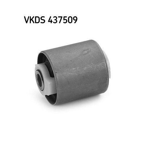 SKF Lagerung, Lenker