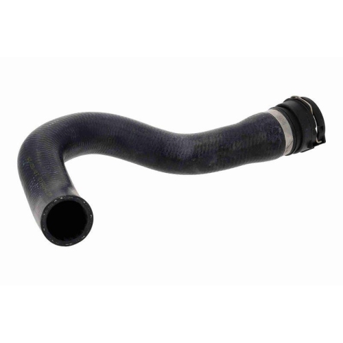 VAICO Kühlerschlauch Original VAICO Qualität