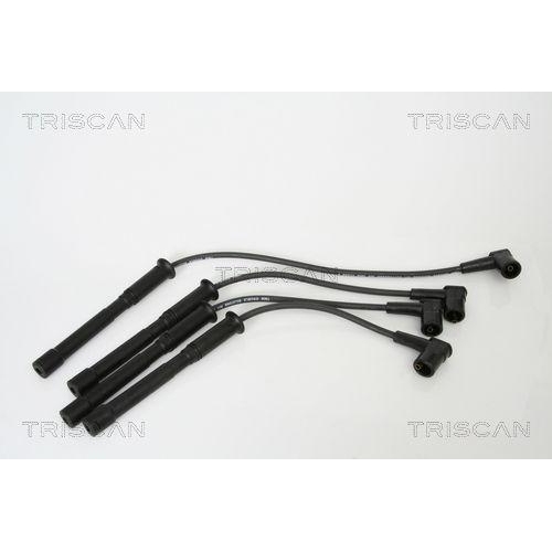 TRISCAN Z&uuml;ndleitungssatz 8860 1443