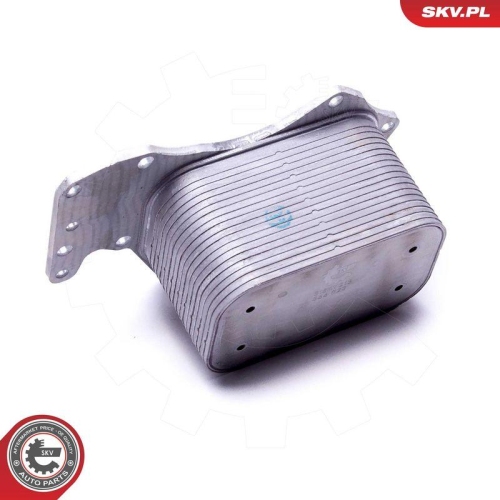ESEN SKV &Ouml;lk&uuml;hler, Motor&ouml;l 31SKV213
