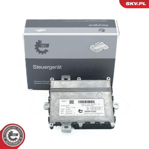 ESEN SKV Steuergerät, Beleuchtung 59SKV202