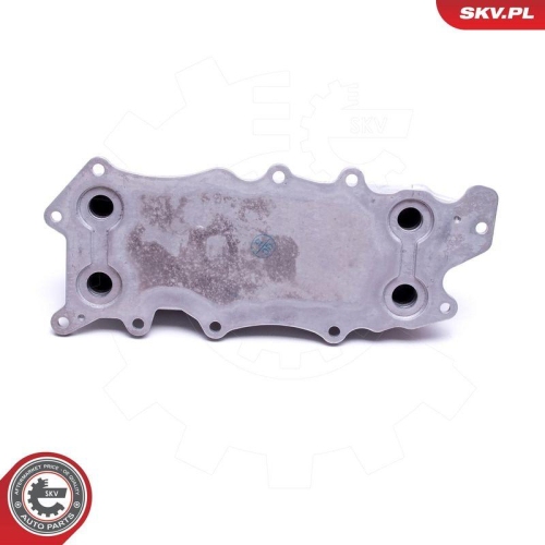 ESEN SKV &Ouml;lk&uuml;hler, Motor&ouml;l 31SKV217