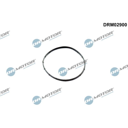 Dr.Motor Automotive Dichtung, Unterdruckpumpe DRM02900