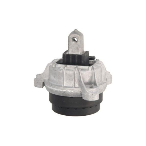 REINHOCH Lagerung, Motor RH11-3080