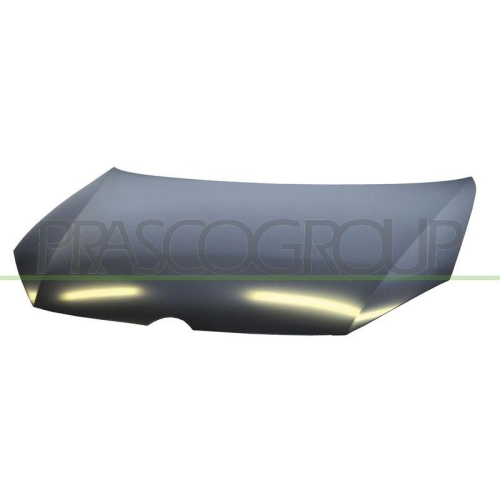 PRASCO Motorhaube VG0383100