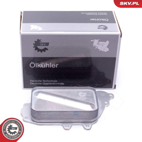 ESEN SKV &Ouml;lk&uuml;hler, Motor&ouml;l 31SKV218