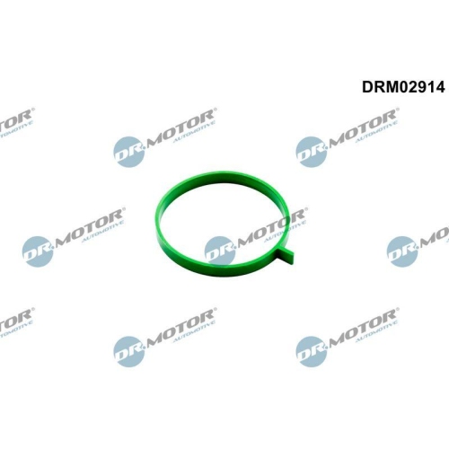 Dr.Motor Automotive Dichtung, Drosselklappenstutzen DRM02914