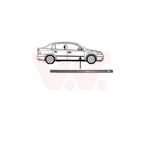 VAN WEZEL Zier-/Schutzleiste, T&uuml;r 3742404