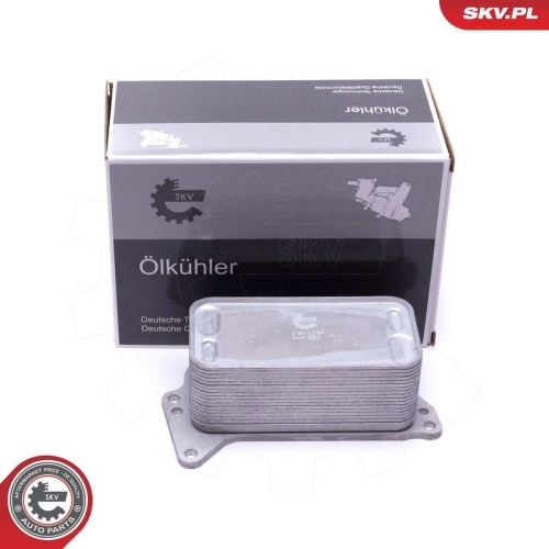 ESEN SKV &Ouml;lk&uuml;hler, Motor&ouml;l 31SKV222