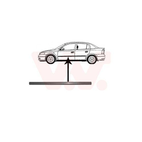 VAN WEZEL Zier-/Schutzleiste, T&uuml;r 3742423