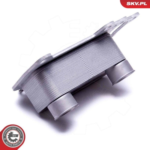 ESEN SKV &Ouml;lk&uuml;hler, Motor&ouml;l 31SKV225