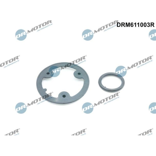 Dr.Motor Automotive Dichtungssatz, &Ouml;lk&uuml;hler DRM611003R