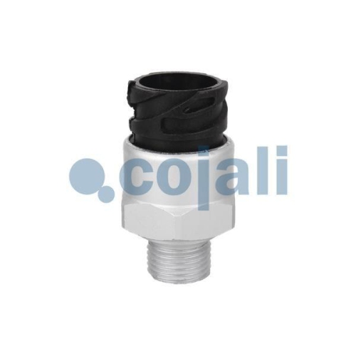 COJALI Sensor 2260269