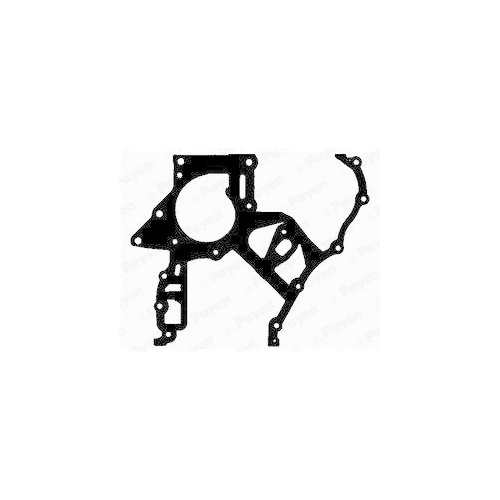 PAYEN Dichtung, Steuergehäuse JR5029