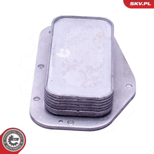 ESEN SKV &Ouml;lk&uuml;hler, Motor&ouml;l 31SKV231