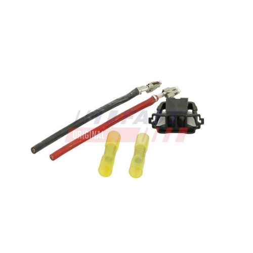FAST Stecker FT76119