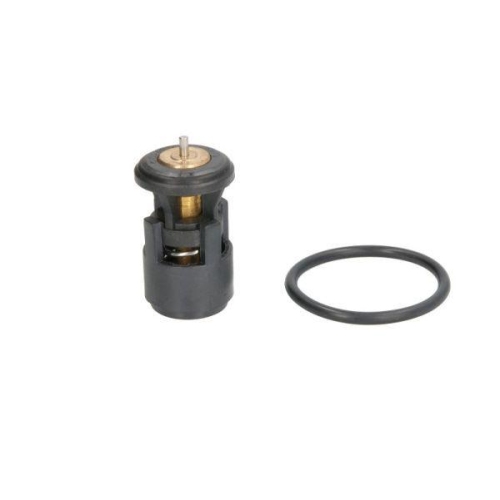 THERMOTEC Thermostat, Kühlmittel D2A005TT