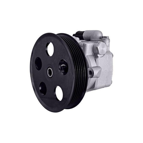 HELLA Hydraulikpumpe, Lenkung 8TL 359 003-111