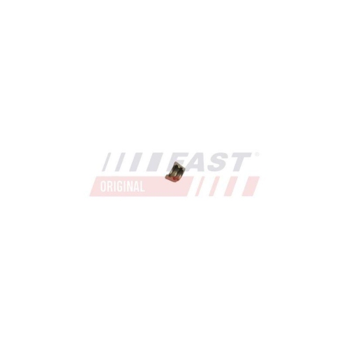FAST Ventilkeil FT43801